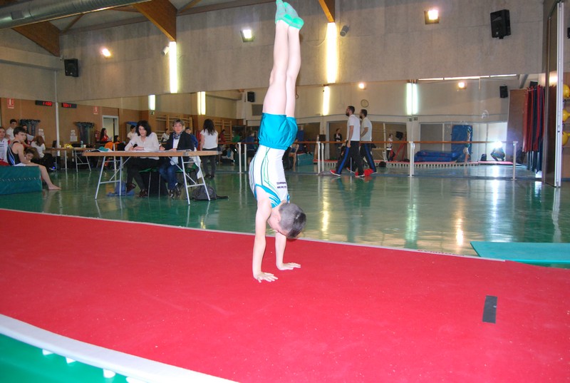 La Gimnasia Artística Masculina alza el telón